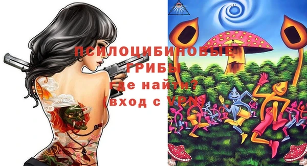 ПСИЛОЦИБИНОВЫЕ ГРИБЫ Алексеевка