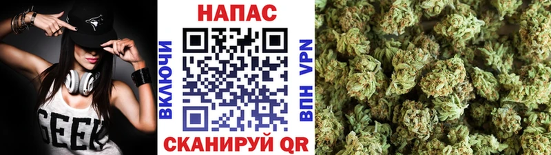 Каннабис сатива  цена   Фролово 